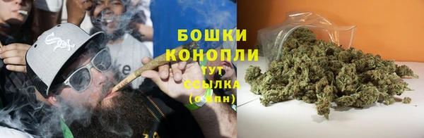 2c-b Алзамай