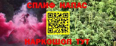 гашик Бузулук