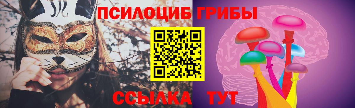 Галлюциногенные грибы MAGIC MUSHROOMS  Вход с VPN  Кулебаки 